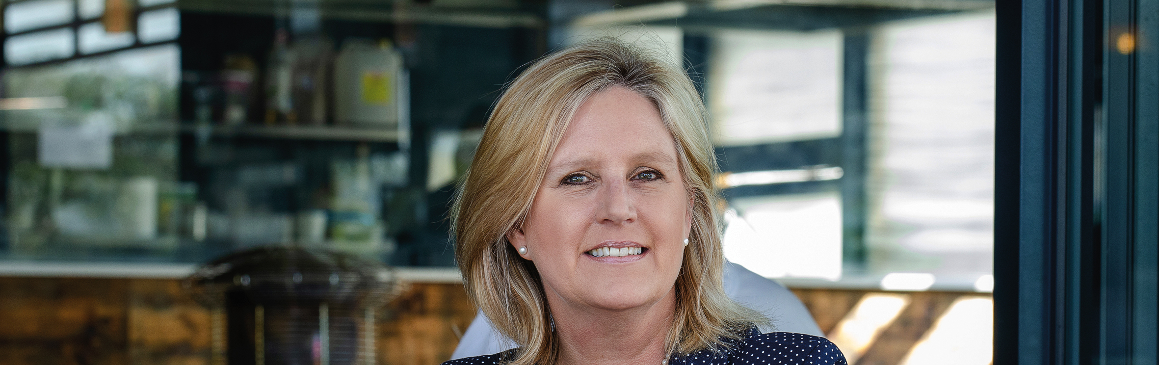 Your local property sales and rentals specialist