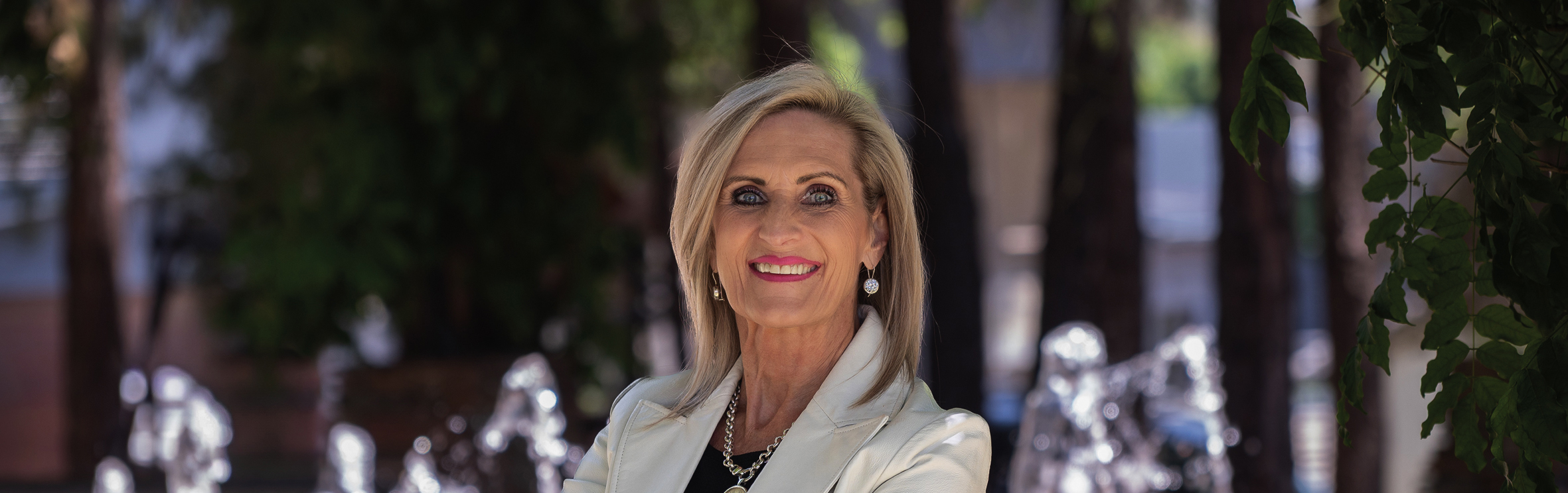 Your local property sales and rentals specialist in Albemarle Ext 2, Eye of Africa, Verwoerdpark