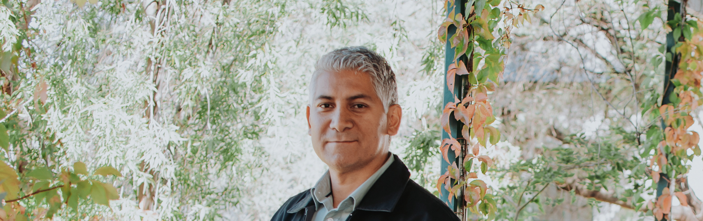 Your local property sales and rentals specialist