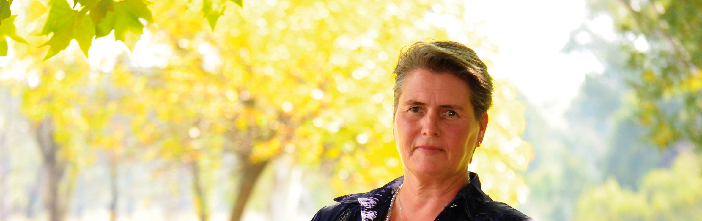 Your local property sales and rentals specialist