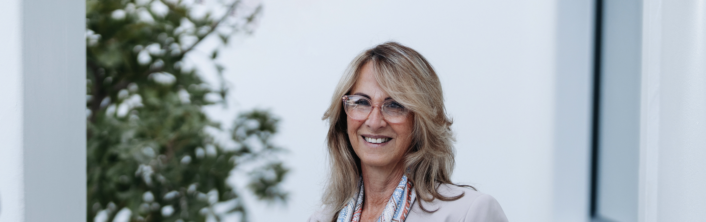 Your local property sales and rentals specialist in KleinBosch, Plattekloof Glen, Welgelegen