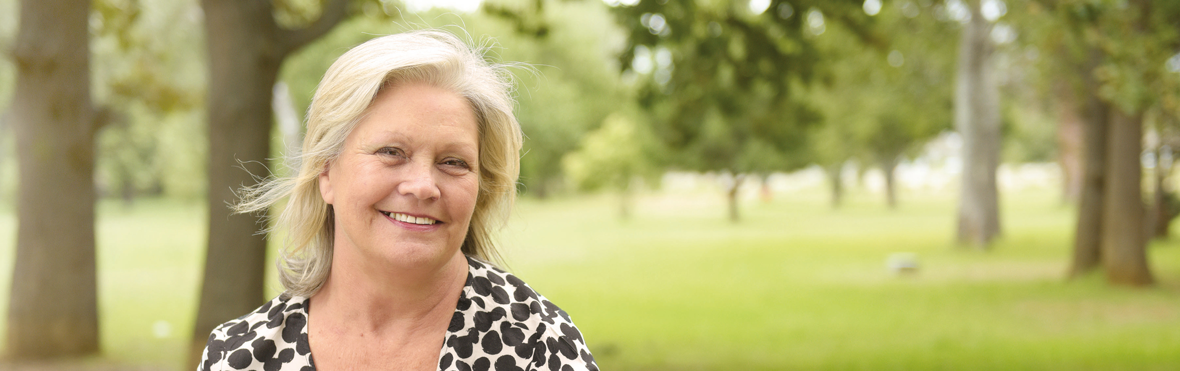 Your local property sales and rentals specialist in Gordons Bay, Somerset West, Strand