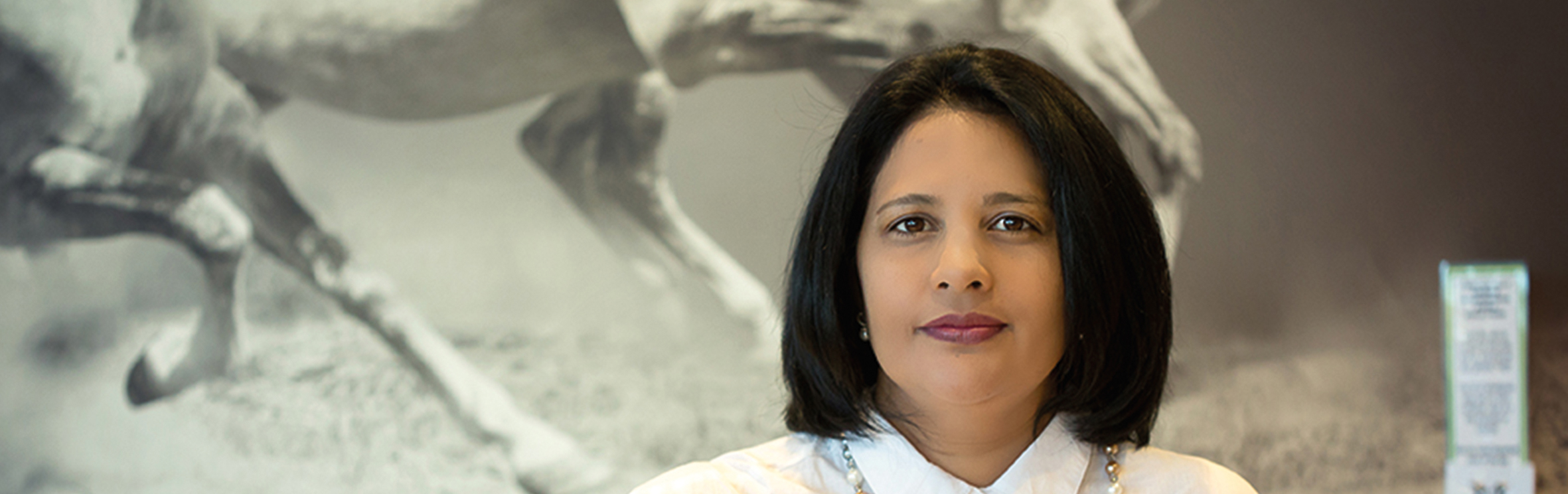 Your local property sales and rentals specialist in Country View, Noordwyk, Savannah Hills Estate