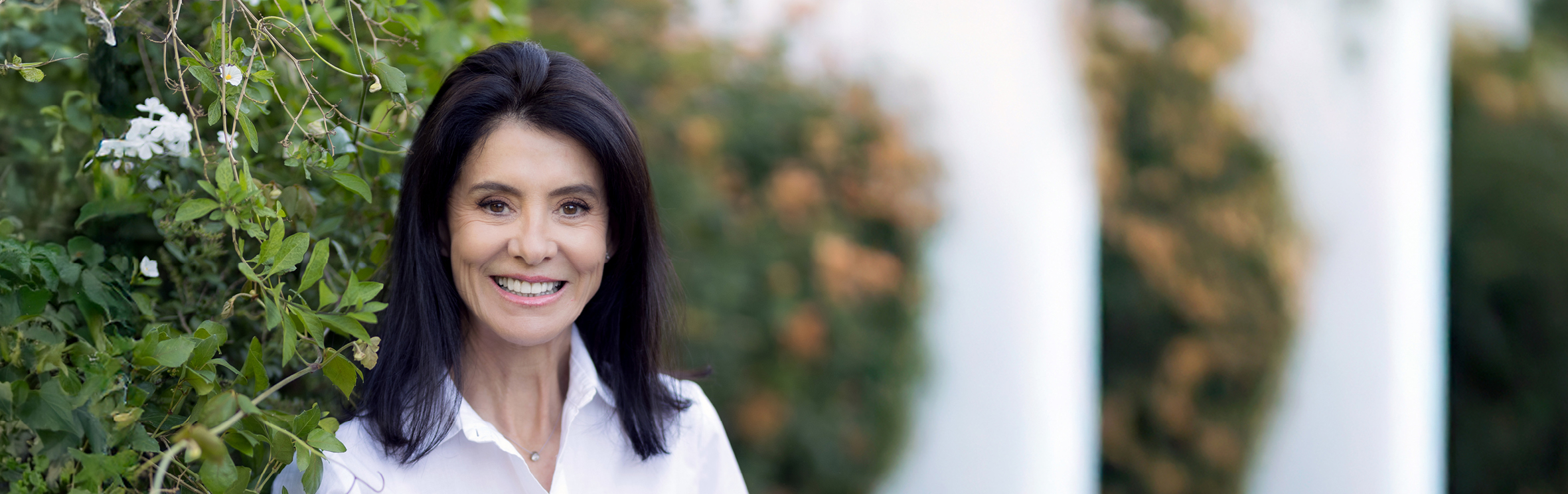 Your local property sales and rentals specialist in Wellington