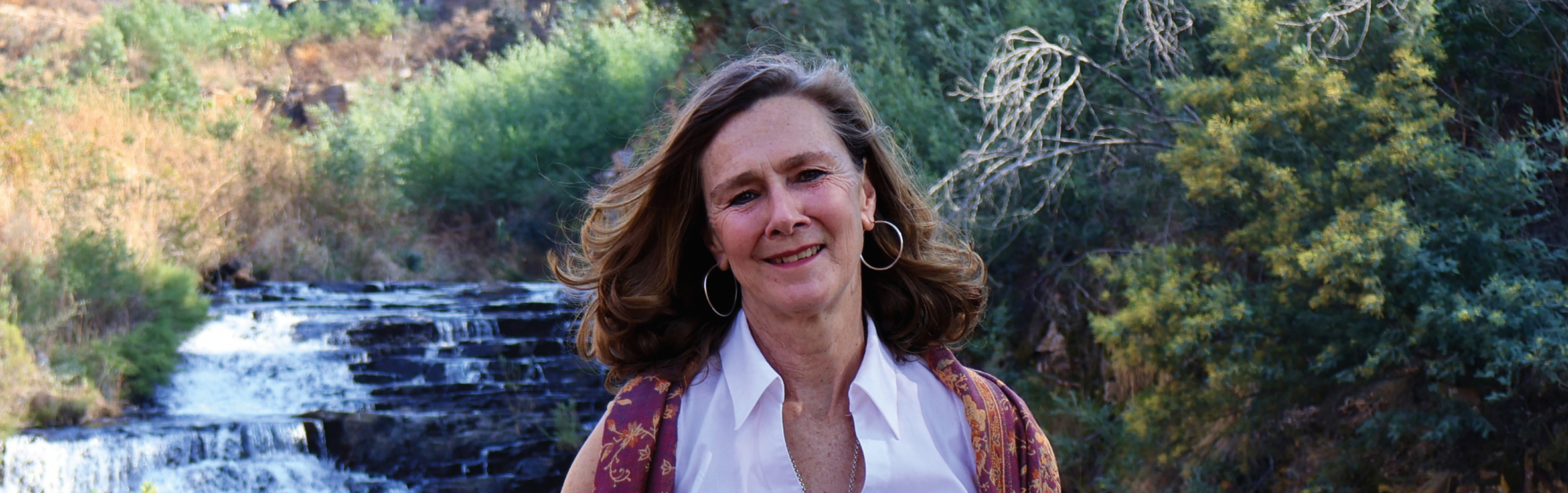 Your local property sales and rentals specialist in Dullstroom, Tonteldoos