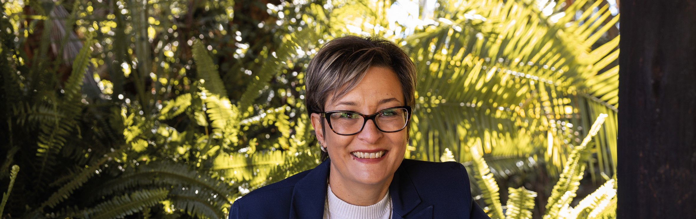 Your local property sales and rentals specialist in Borrowdale, Borrowdale Brooke, Borrowdale West