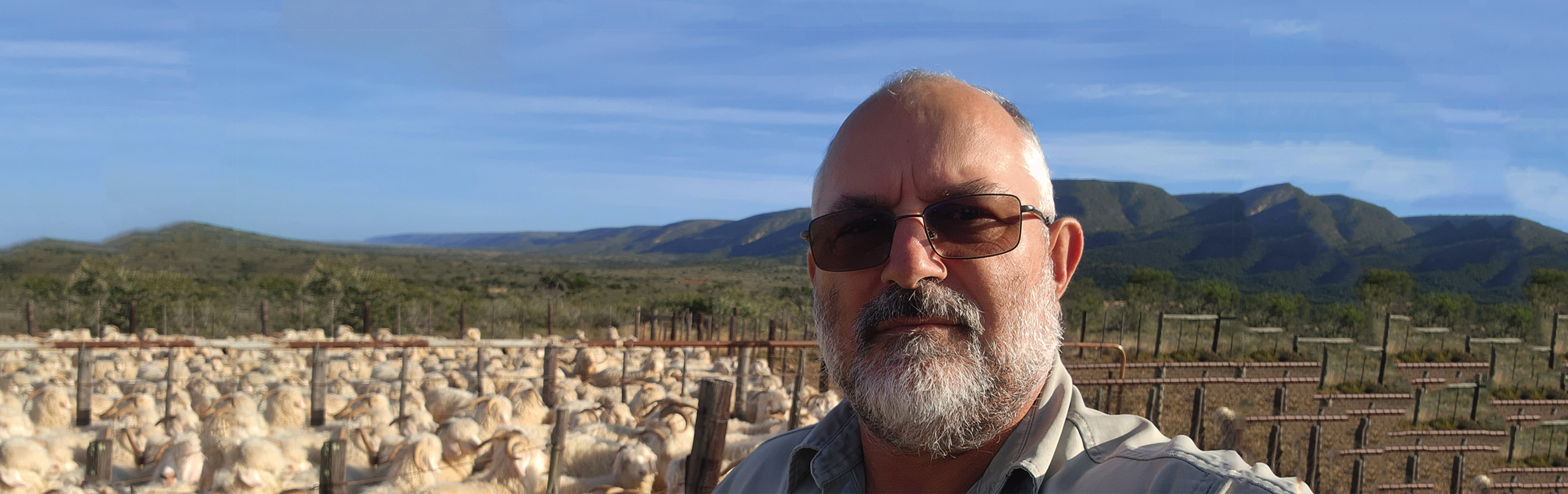 Your local property sales and rentals specialist in Jansenville, Kirkwood (Nqweba), Steytlerville