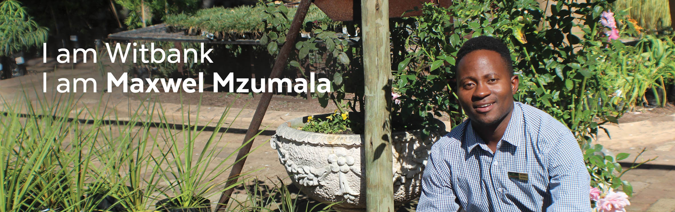 Your local property sales and rentals specialist