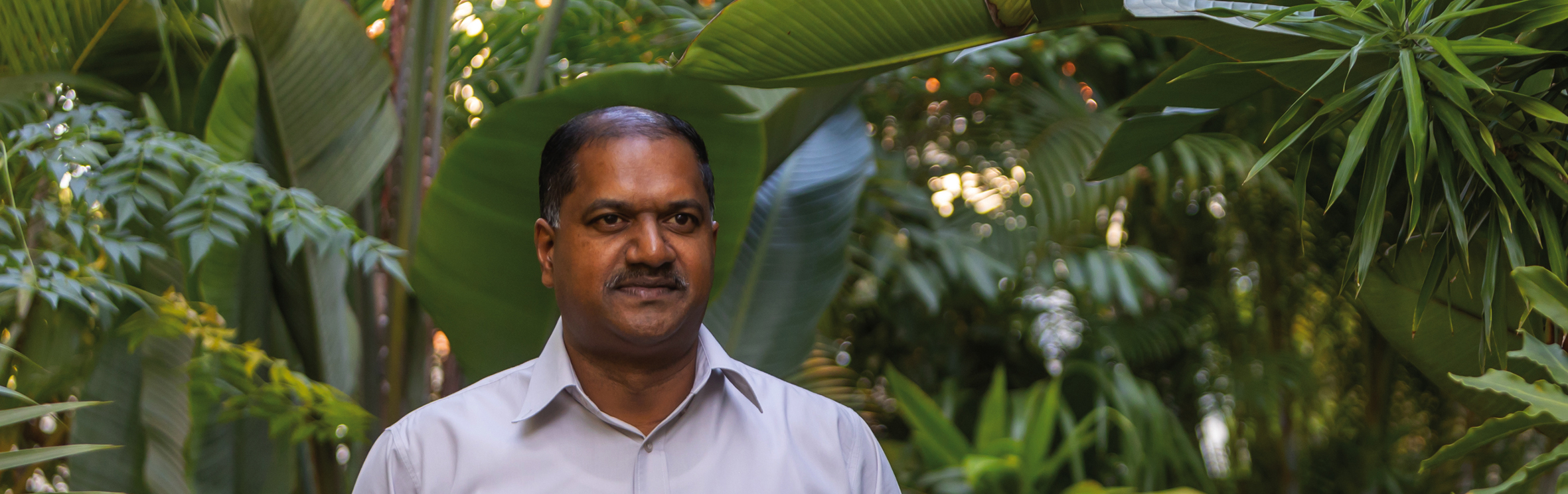 Dave Naidoo, your trusted property expert Dave Naidoo, your trusted property expert