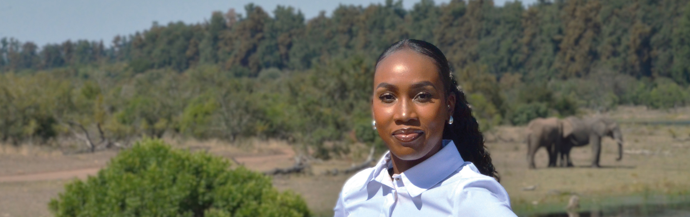 Your local property sales and rentals specialist