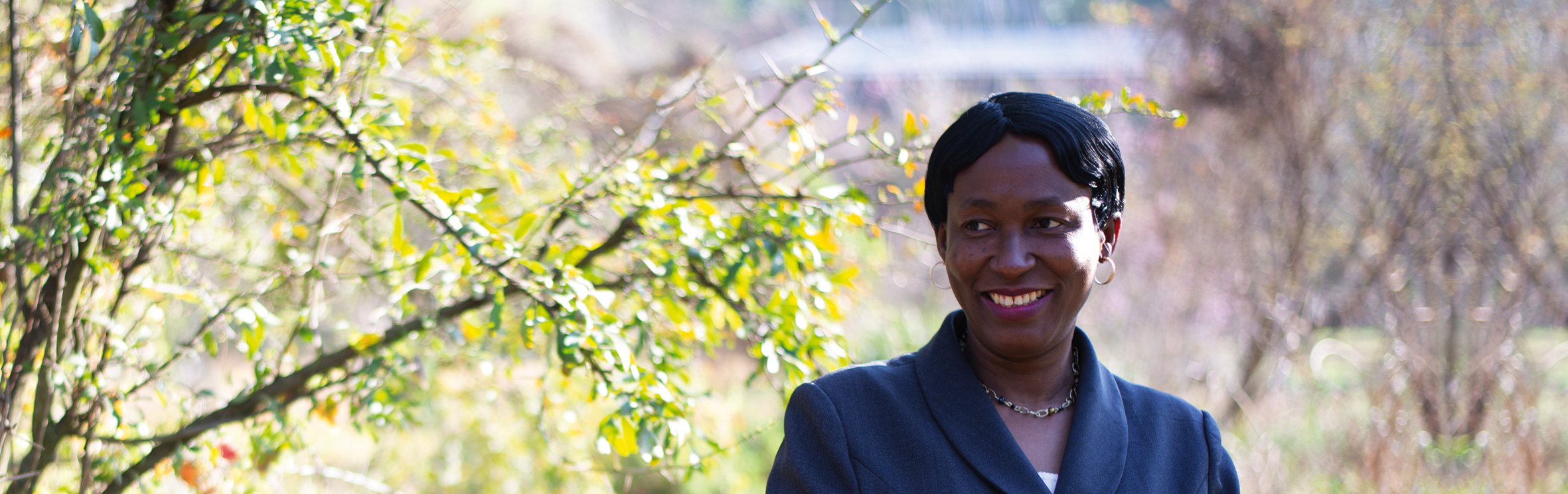 Your local property sales and rentals specialist