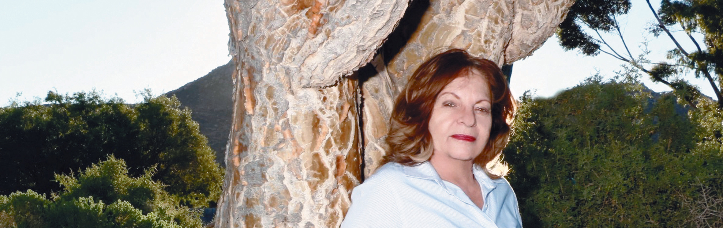 Your local property sales and rentals specialist in Springbok, Springbok Farms