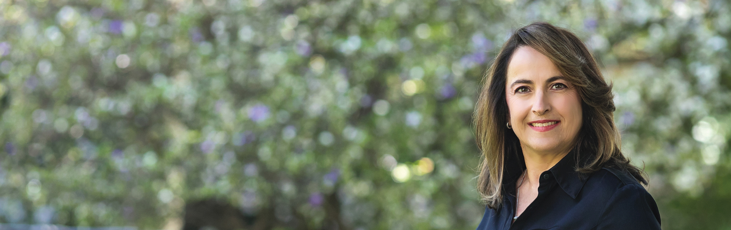 Your local property sales and rentals specialist in Houghton, Houghton Estate, Riviera (JHB)