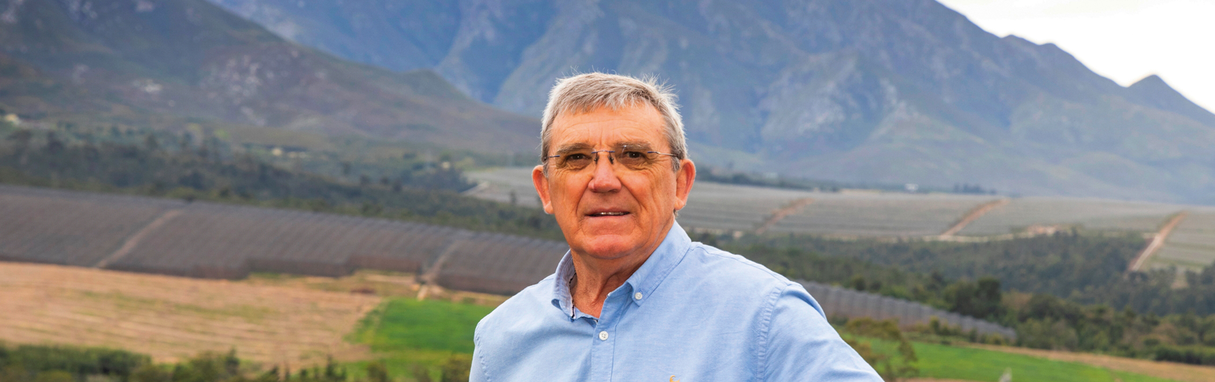 Your local property sales and rentals specialist in Geelhoutboom, George Industria, Hansmoeskraal, Sinksabrug, Voorbrug, Waboomskraal