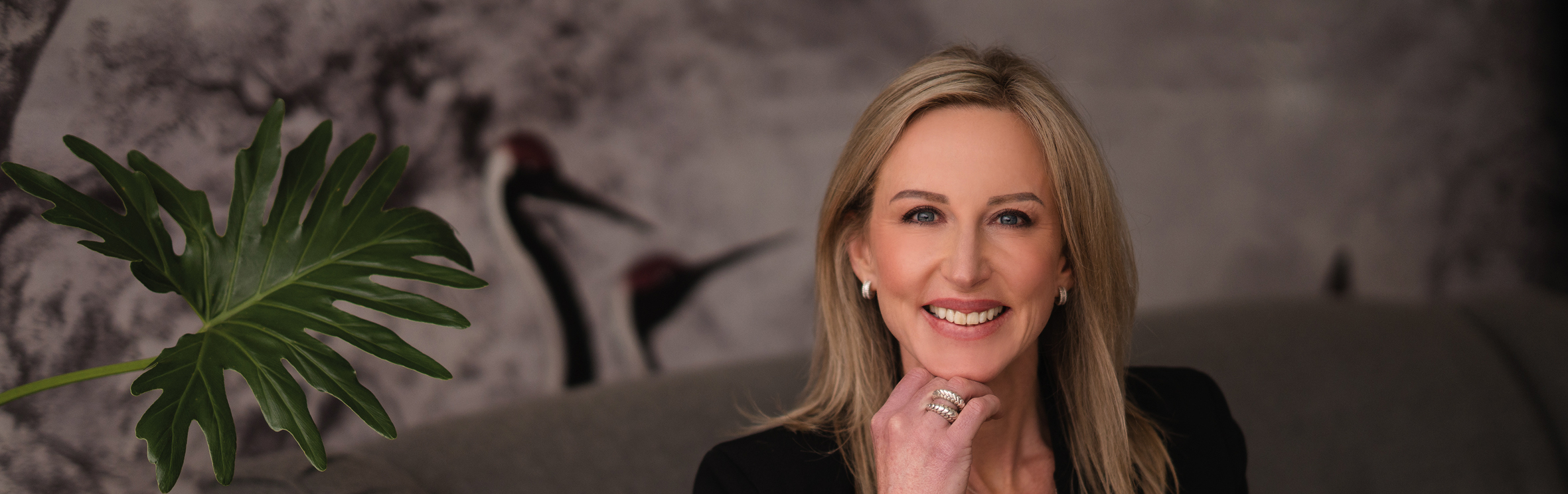 Your local property sales and rentals specialist in Bryanston, Bryanston East, Bryanston West