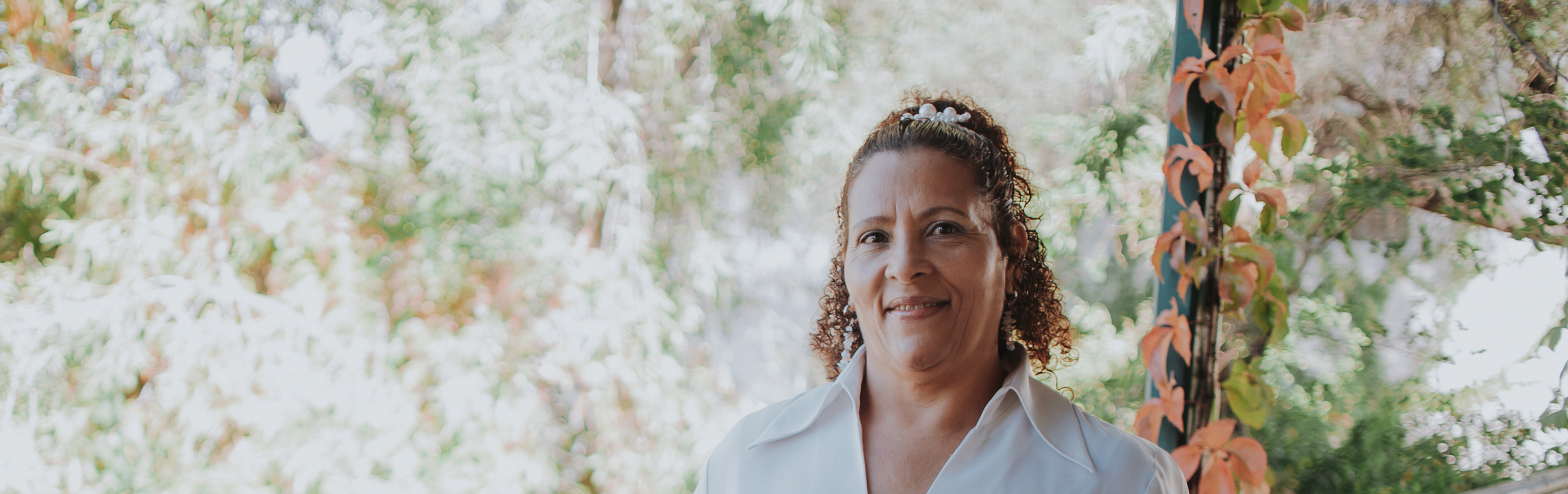 Your local property sales and rentals specialist