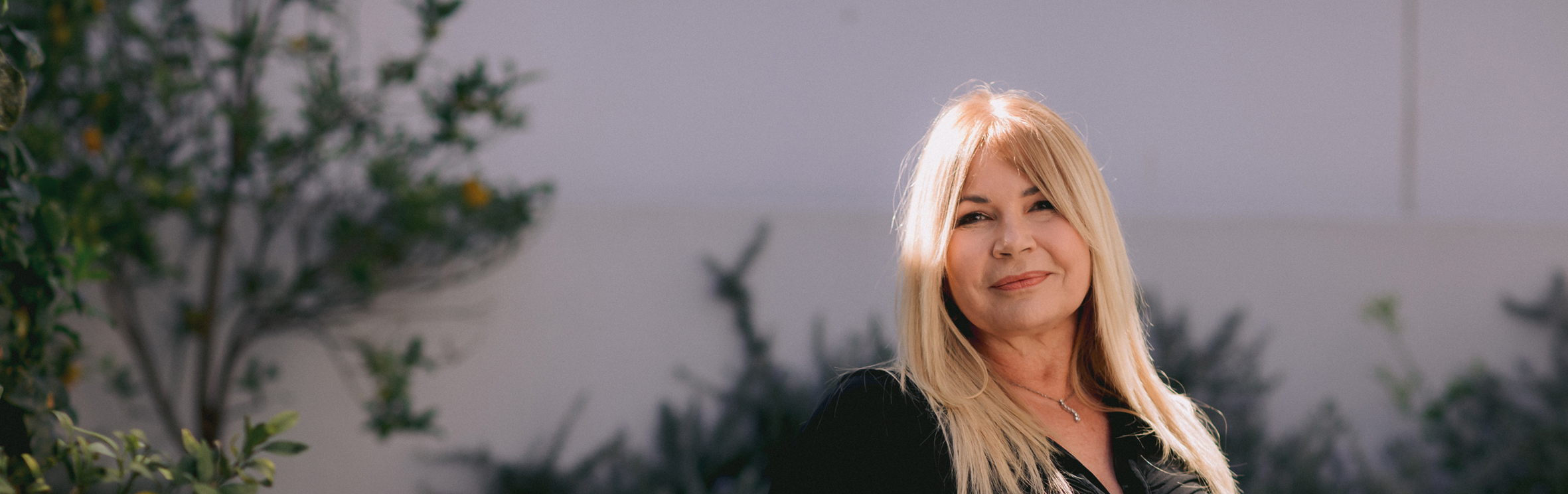 Your local property sales and rentals specialist in KleinBosch, Monte Vista, Welgelegen