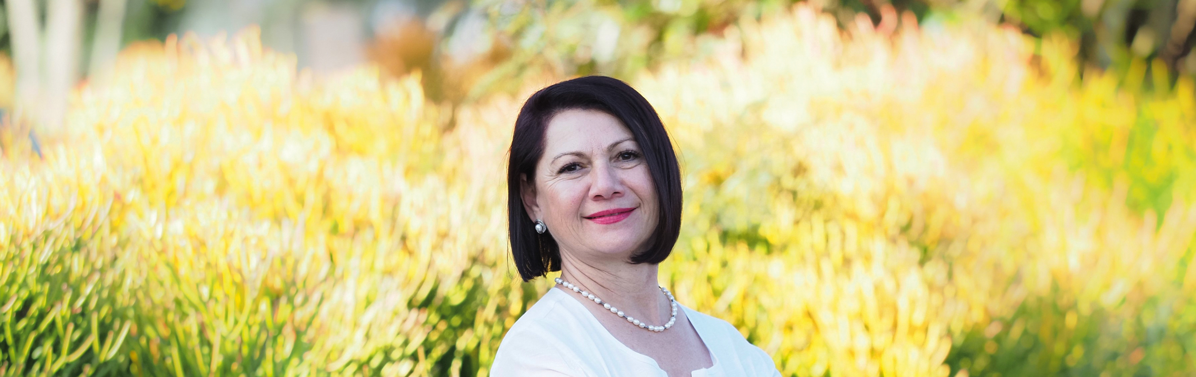 Your local property sales and rentals specialist in White River, White River Country Estate