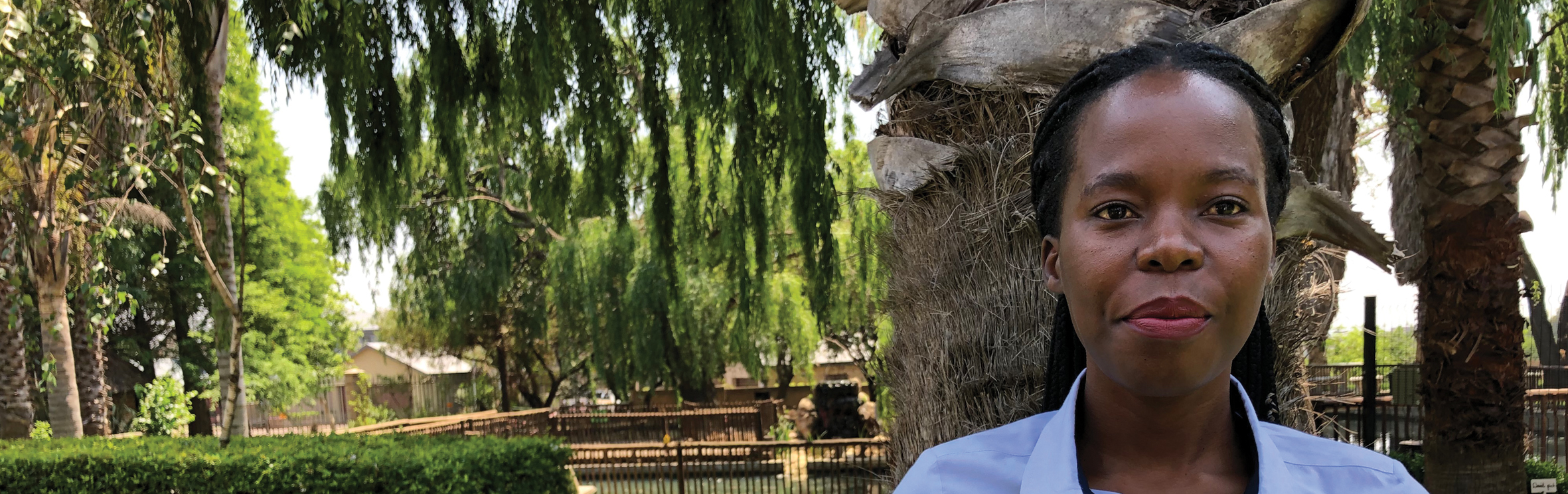 Your local property sales and rentals specialist