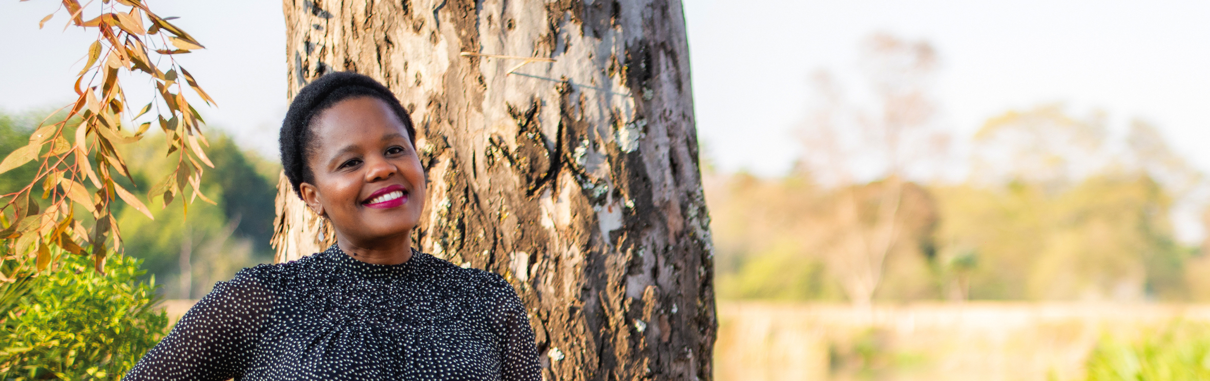 Your local property sales and rentals specialist in Blue Valley Golf Estate