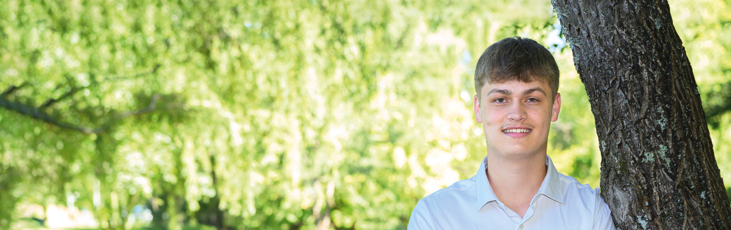 Your local property sales and rentals specialist