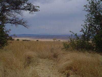 Smallholding for sale in Waterberg - 600007