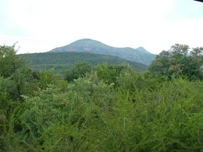 Cottage for sale in Thabazimbi - 242151 Cottage for sale in Thabazimbi - 242151