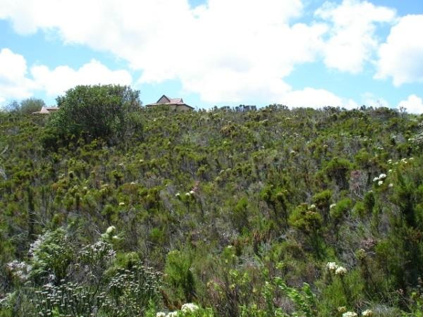 Residential vacant land for sale in Pezula Golf Estate - 1KG1661666