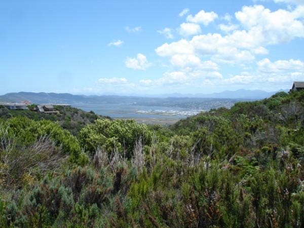 Residential vacant land for sale in Pezula Golf Estate - 1KG1661666