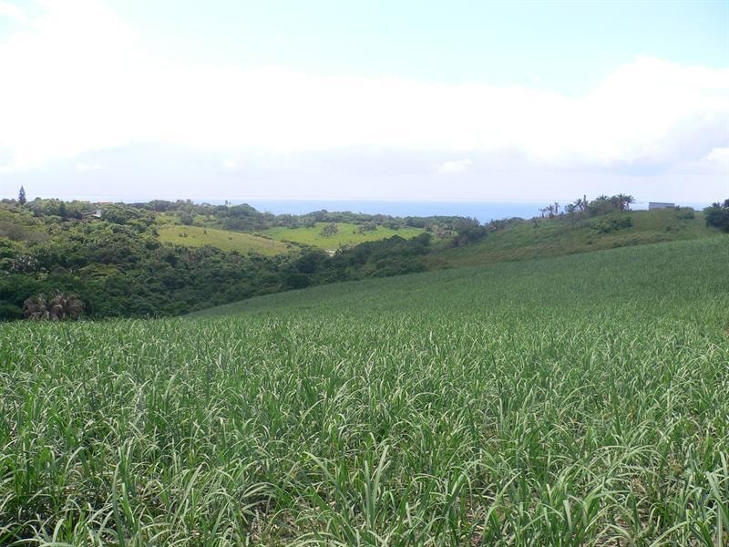 Vacant land sold in Elysium - 1SI1355682 Vacant land sold in Elysium - 1SI1355682