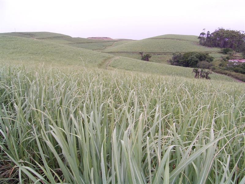 Vacant land sold in Elysium - 1SI1355682 Vacant land sold in Elysium - 1SI1355682