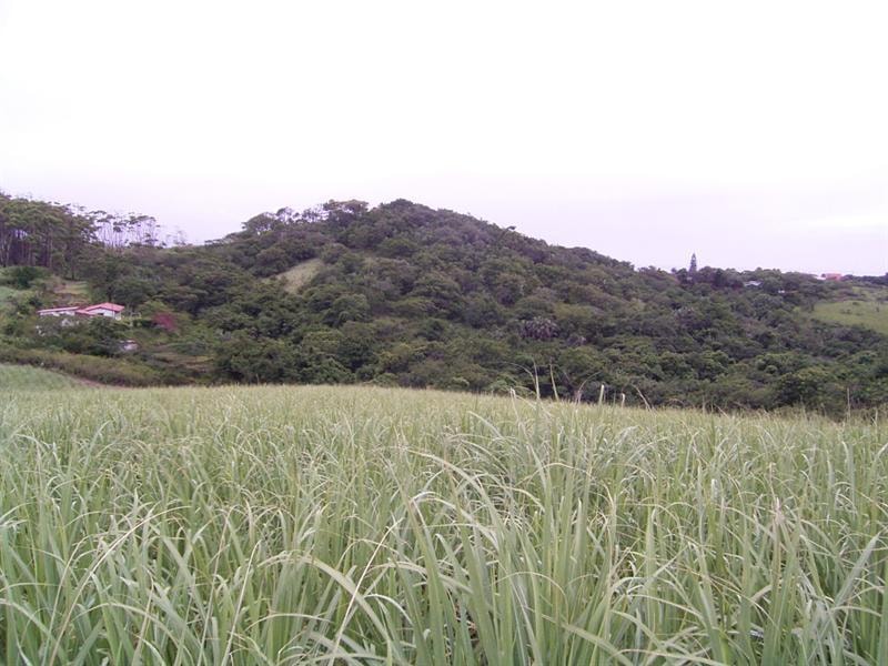 Vacant land sold in Elysium - 1SI1355682 Vacant land sold in Elysium - 1SI1355682