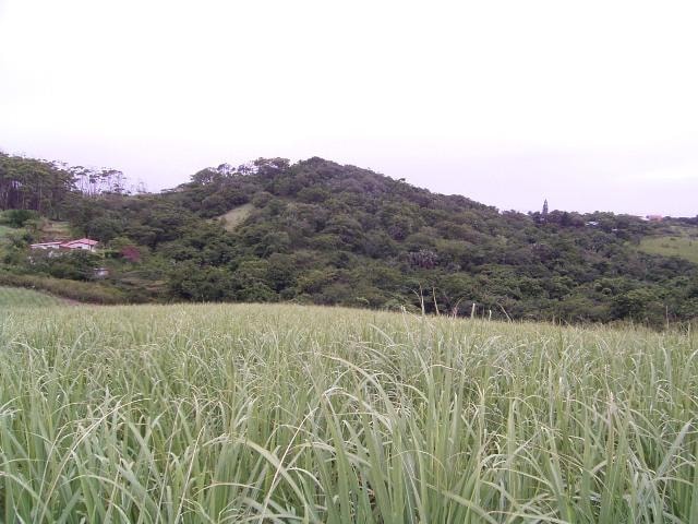 Vacant land sold in Elysium - 1SI1355738 Vacant land sold in Elysium - 1SI1355738