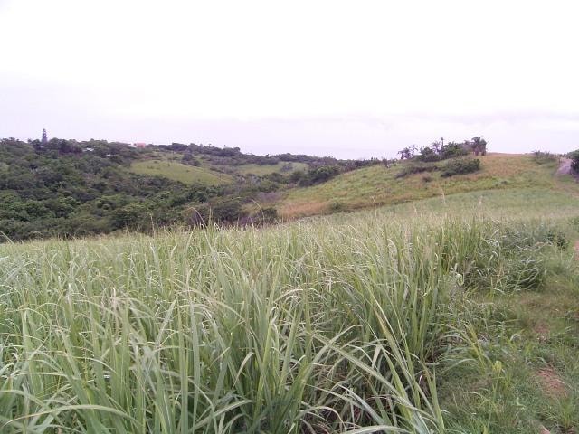 Vacant land sold in Elysium - 1SI1355738 Vacant land sold in Elysium - 1SI1355738