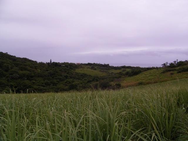 Vacant land sold in Elysium - 1SI1355738 Vacant land sold in Elysium - 1SI1355738