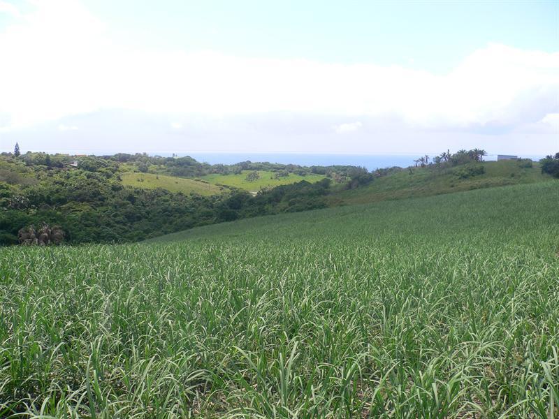 Vacant land sold in Elysium - 191243