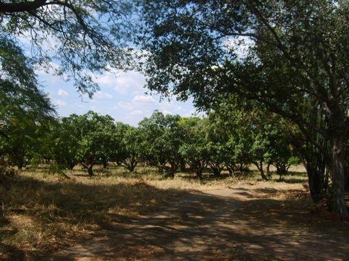 Mixed use farm for sale in Rustenburg - 1RU1094431