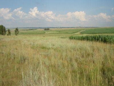 Mixed use farm for sale in Lydenburg (Mashishing) - 1LY1664852 Mixed use farm for sale in Lydenburg (Mashishing) - 1LY1664852