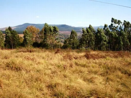 Vacant land for sale in Sabie - 347902 Vacant land for sale in Sabie - 347902