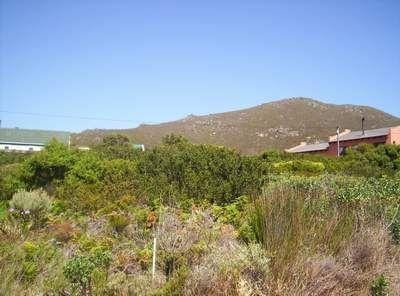 Vacant land for sale in Pringle Bay - KN1747357 Vacant land for sale in Pringle Bay - KN1747357