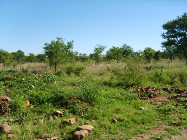 Smallholding for sale in Rustenburg - 1RU000142