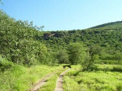 Single-storey house for sale in Thabazimbi - 365296