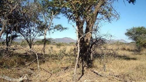 Vacant land for sale in Thabazimbi - 403939