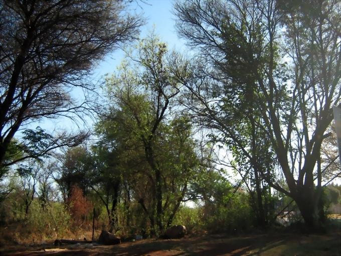 Commercial vacant land for sale in Thabazimbi - 1ER483158 Commercial vacant land for sale in Thabazimbi - 1ER483158