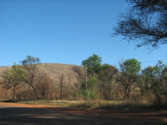 Commercial vacant land for sale in Thabazimbi - 1ER483157 Commercial vacant land for sale in Thabazimbi - 1ER483157