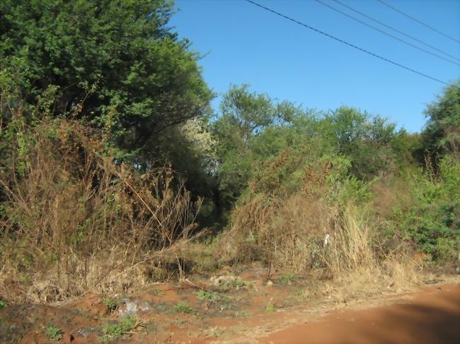 Commercial vacant land for sale in Thabazimbi - 1ER483157 Commercial vacant land for sale in Thabazimbi - 1ER483157