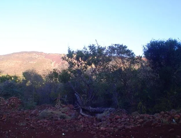 Residential vacant land for sale in Thabazimbi - 1ER312413 Residential vacant land for sale in Thabazimbi - 1ER312413