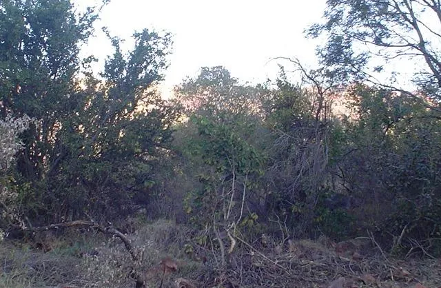 Residential vacant land for sale in Thabazimbi - 1ER312413 Residential vacant land for sale in Thabazimbi - 1ER312413