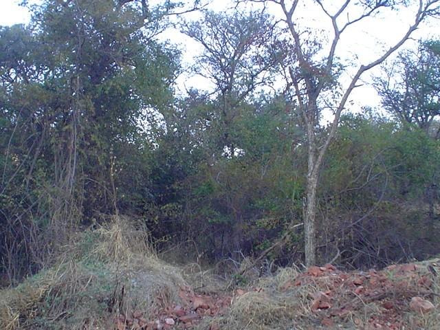 Residential vacant land for sale in Thabazimbi - 1ER312413
