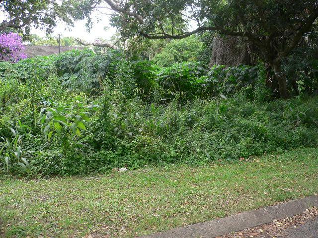 Vacant land for sale in Pennington - 1si467893